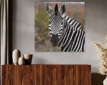 Op safari in Kruger Park, Zuid-Afrika: Portret van zebra van Rini Kools