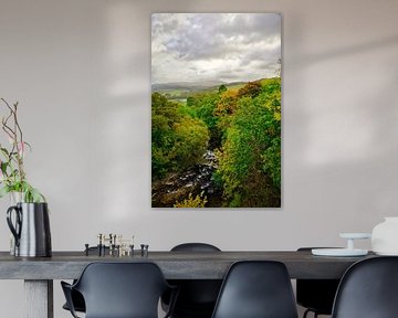 De natuut van Snowdonia in Wales