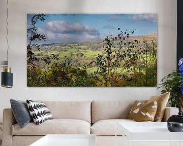 De prachtige natuur in Snowdonia