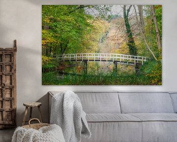 Pont sur l'eau dans un paysage de forêt sur Jurjen Jan Snikkenburg