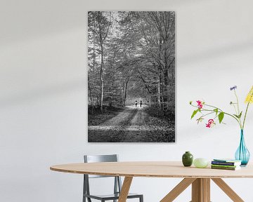 Pferde im Wald im Herbst von eric van der eijk