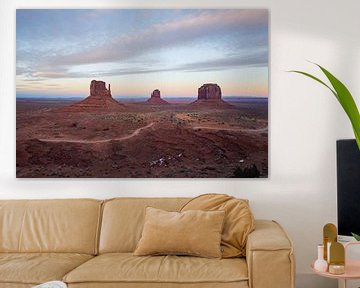 Betoverend Kleurenspel in Monument Valley van Discover Dutch Nature