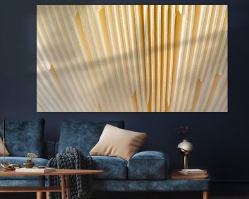 Zwischen den Latten betrachtet