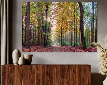 Zonnestralen op een bospad tijdens de herfst van eric van der eijk