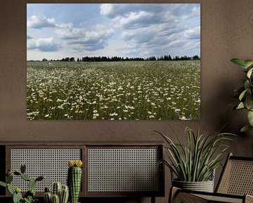 A blooming field under a cloudy sky by Claude Laprise