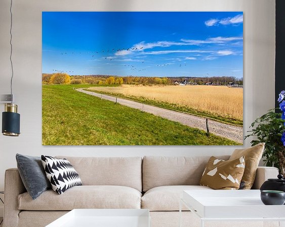 Voorbeeld van het werk in een kamer