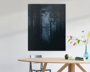 lune rouge dans la forêt sombre sur Glenn Slabbinck