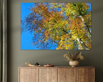 L'automne