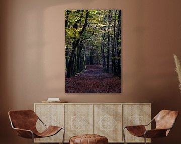 Ein Waldweg durch einen herbstlichen Buchenwald von Gerard de Zwaan