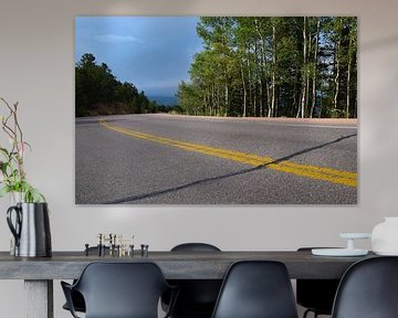 Asphalt road with bright yellow lines in the middle, in the Rocky Mountains, with birch trees along  by Studio LE-gals