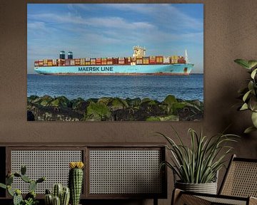 Container ship the Mumbai Maersk. by Jaap van den Berg