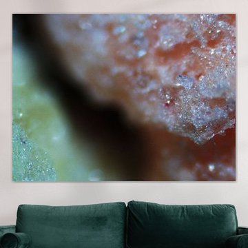 Les éclats de fruits sous le microscope sur Wijco van Zoelen