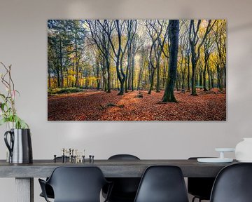 Speulderbos en Sprielderbos in de herfst van eric van der eijk