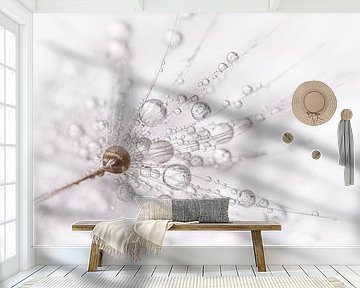 Minimalism: droplets on a dandelion fluff by Marjolijn van den Berg