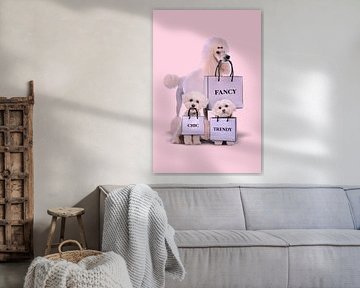 Fashion Dogs by Jonas Loose