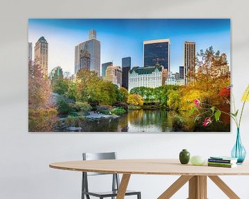 New York Central Park in the fall by Remco Piet