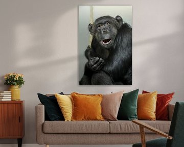 Un portrait de singe étonne sur Heike Hultsch