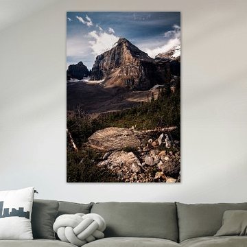 Canada's last glaciers