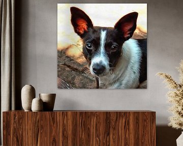 Portret van een Jack Russell Terrier van Dorothy Berry-Lound