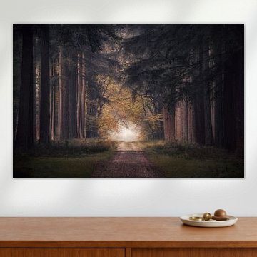 There is light at the end of the tunnel