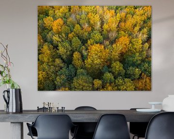 Herfstbos met kleurrijke bladeren van bovenaf gezien van Sjoerd van der Wal