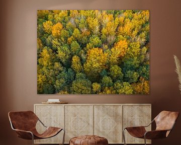 Herbstwald mit bunten Blättern von oben gesehen von Sjoerd van der Wal Fotografie