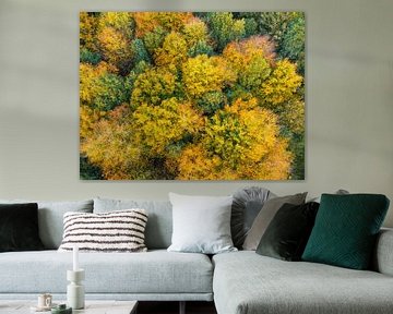 Herbstwald mit bunten Blättern von oben gesehen von Sjoerd van der Wal Fotografie