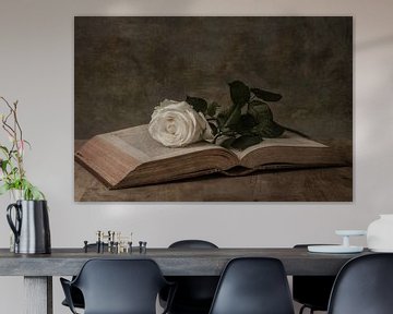 Eine weiße Rose auf einem Bücherstillleben von Jaimy Leemburg Fotografie