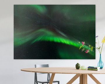 Noorderlicht / Aurora Borealis in IJsland, recht boven de camera van mitevisuals