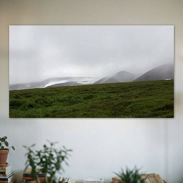 Neblige Aussicht auf die Gipfel Alaskas