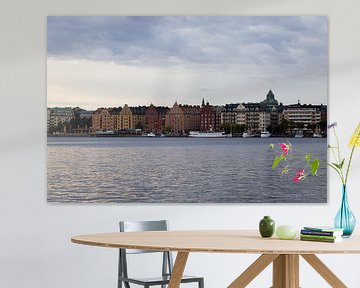 Ansicht von bunten Gebäuden auf der Insel Kungsholmen in Stockholm, Schweden von Kelsey van den Bosch