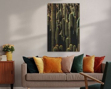 Cactus overload van Shauni van Apeldoorn