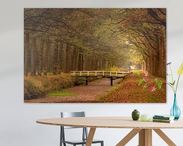 Bruggetje over het water in de herfst van KB Design & Photography (Karen Brouwer)