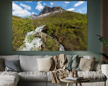 Paysage de montagne près de Geiranger, Norvège sur Arja Schrijver Photographe