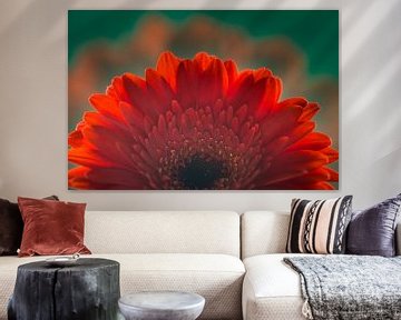Flower in bright red with dark green background by Lisette Rijkers