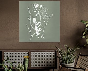 Botanica Delicata. Abstraktes Retro-Botanical in beruhigendem Moosgrün und Weiß von Dina Dankers