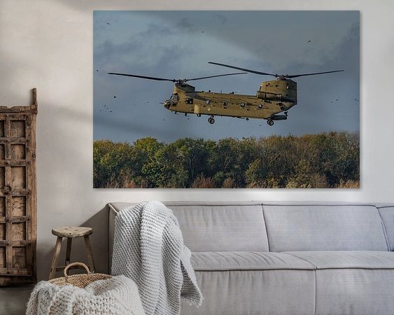 Aperçu de la chambre