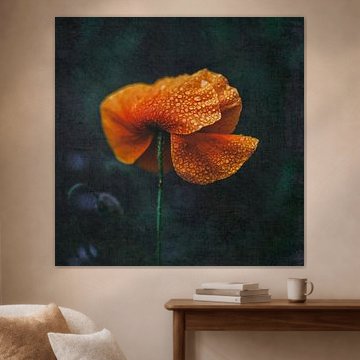 Ik hou van klaprozen