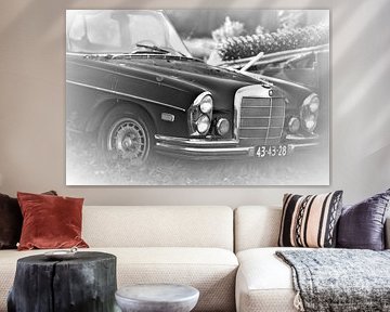 Mercedes Benz vintage car