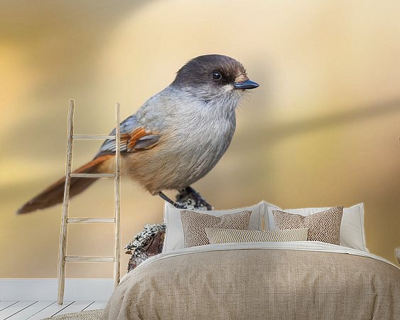 Voorbeeld van het werk in een kamer