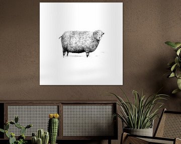 Schafe von Jessy Rietdijk