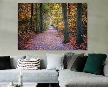 Footpath through an autumn forest with red and golden leaves, co by Maren Winter