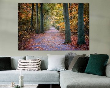 Sentier traversant une forêt d'automne aux feuilles rouges et dorées, co