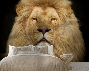 Closeup from the King Of the Jungle by Dennis Schaefer