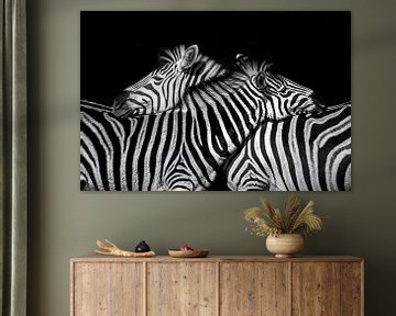 I've got your back ( zebra) van Petra Lakerveld