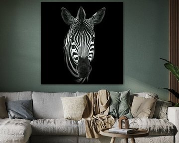 Zebra in zwart wit van Petra Lakerveld