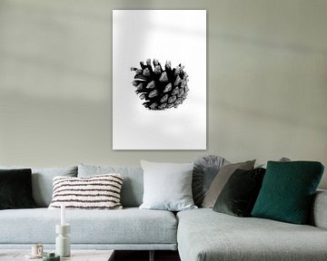 Pine cone basic black and white | Autumn and Christmas neutrals by Denise Tiggelman