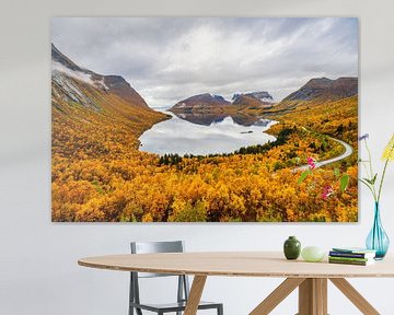 Bergsbotn viewpoint in northern Norway by Henry Oude Egberink