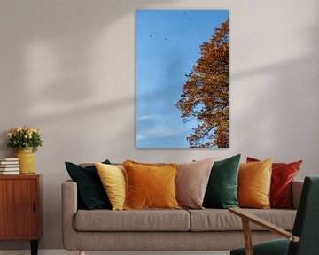 Herfst boom op mooie blauwe lucht
