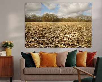 Farmer's crush, potato field after winter. by Fred van Schaagen